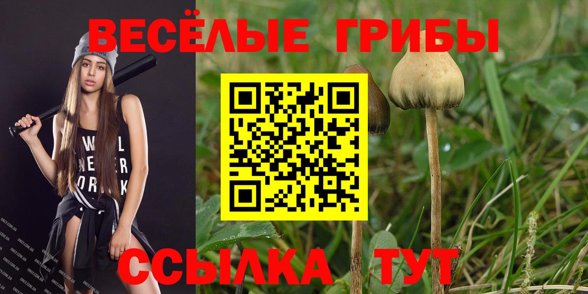 Галлюциногенные грибы мухоморы Новоуральск