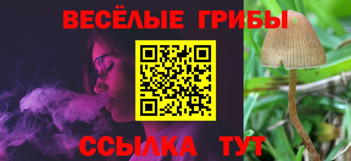 Галлюциногенные грибы Psilocybine cubensis  как найти наркотики  Новоуральск  Вход с VPN 